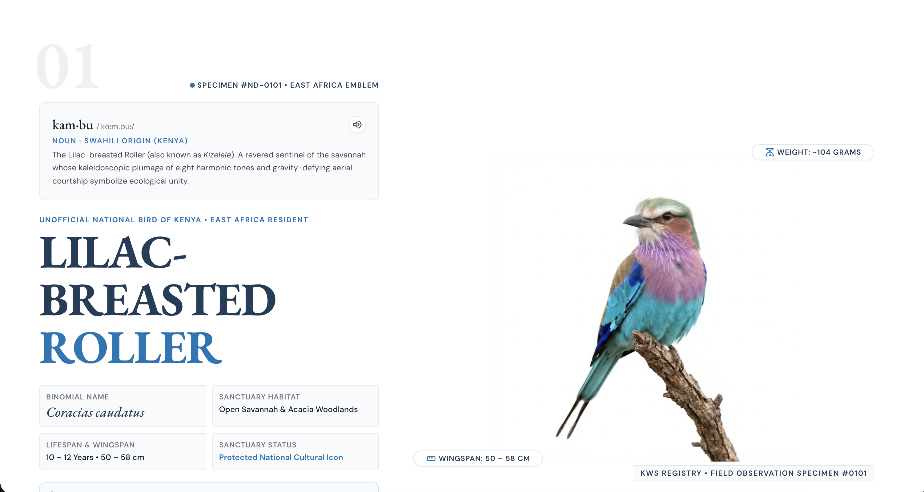 Ndege birding sanctuary homepage