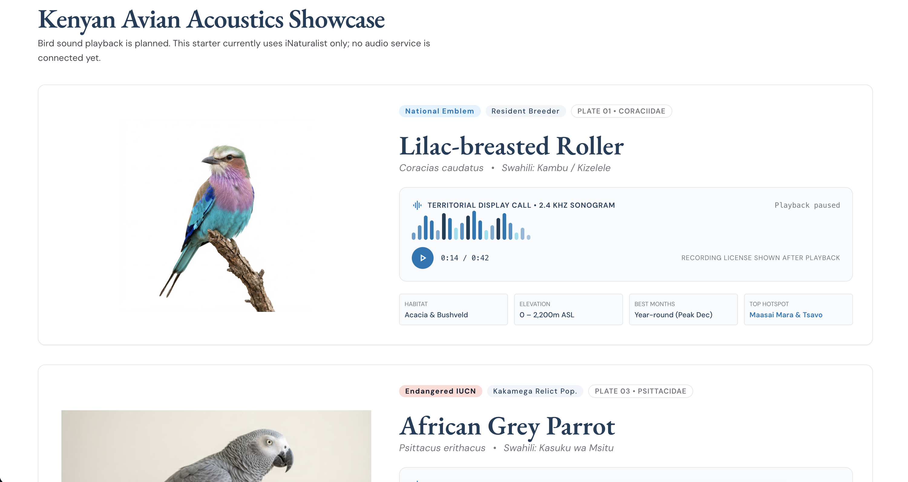 Ndege featured Lilac-breasted Roller species profile