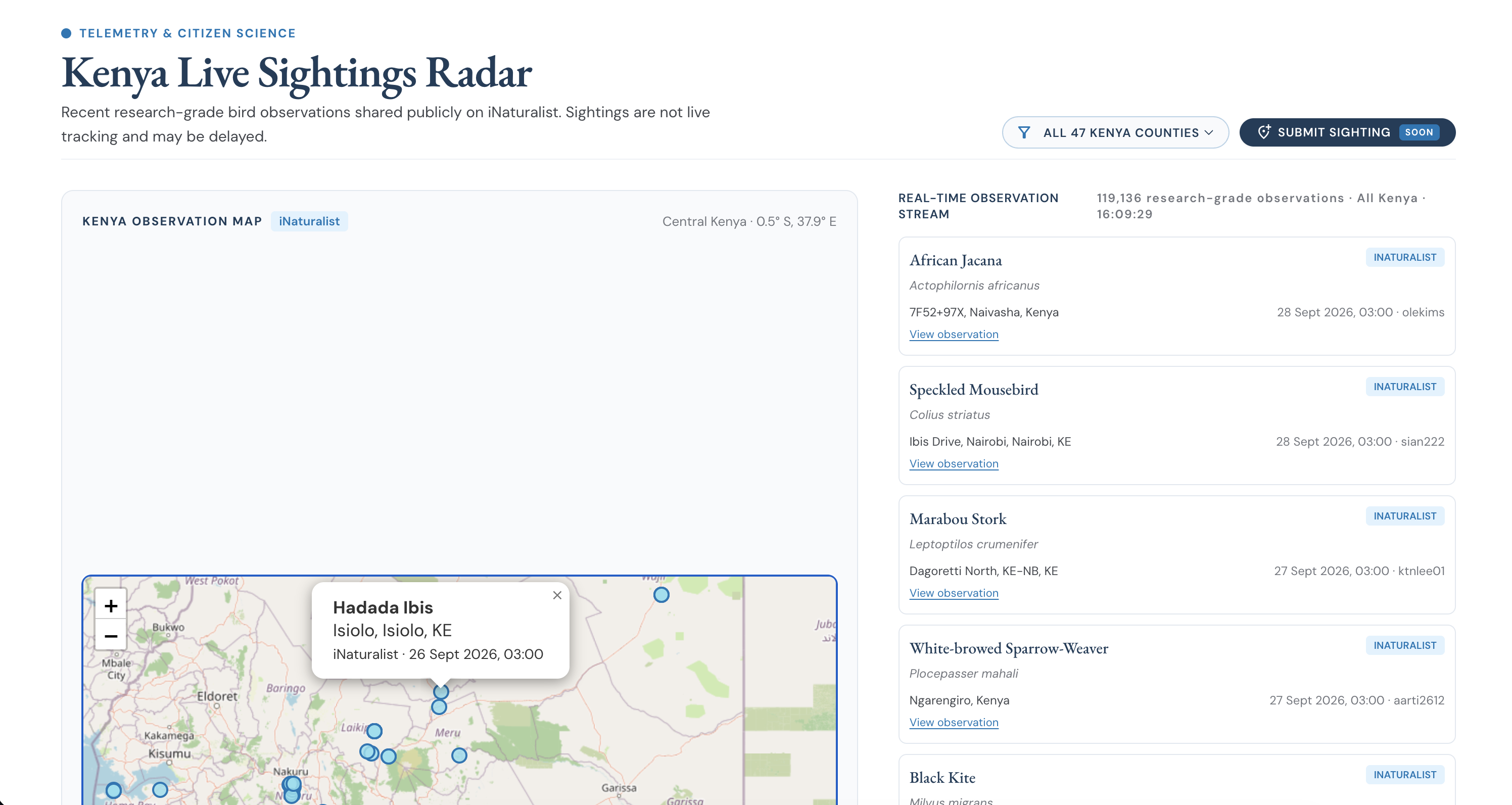 Ndege recent bird sightings feed