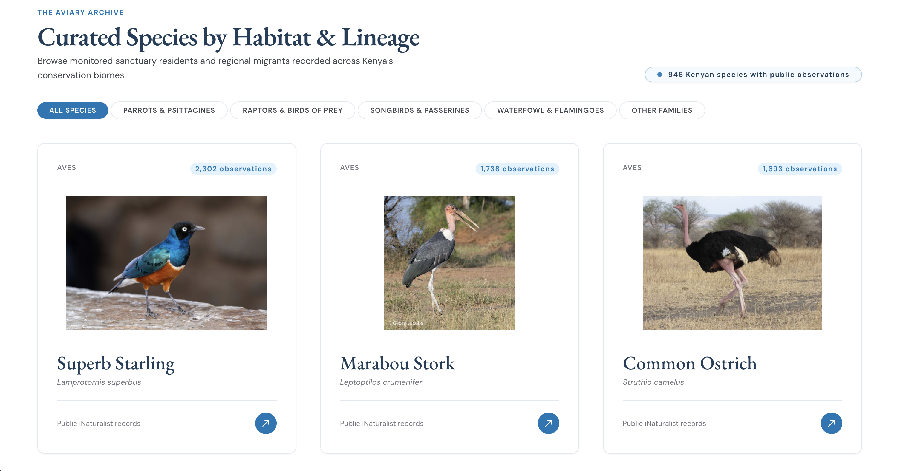 Ndege curated species archive
