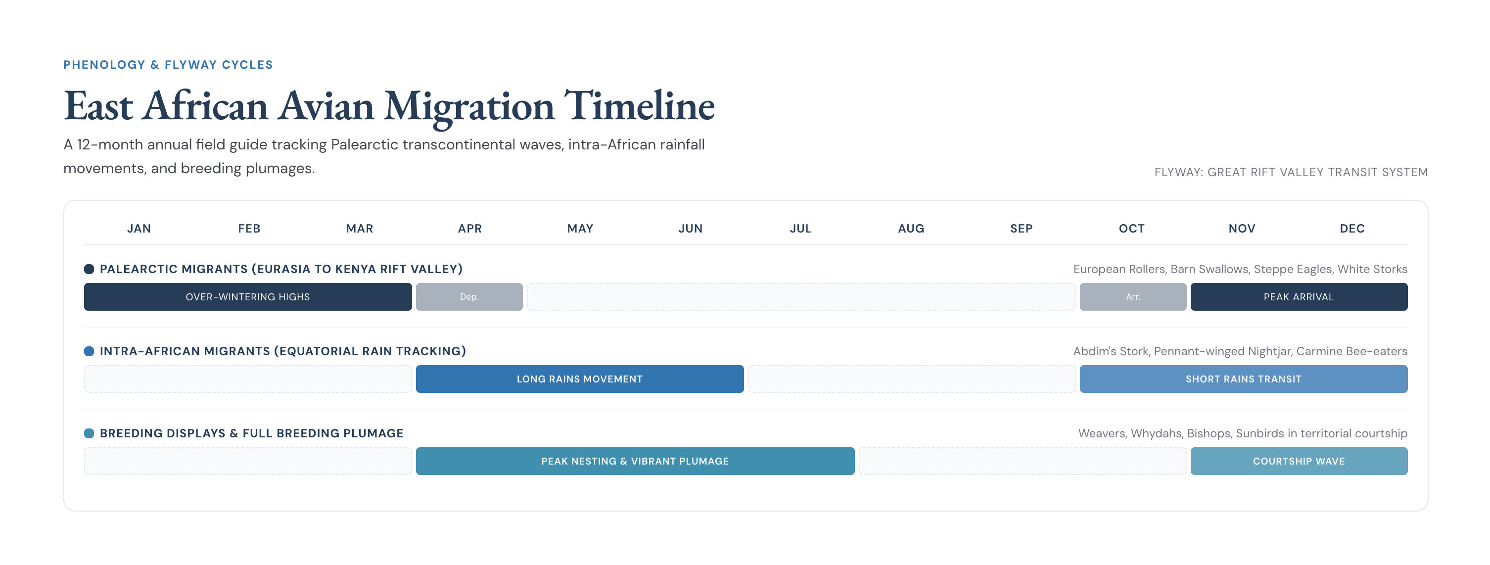Ndege annual bird migration timeline